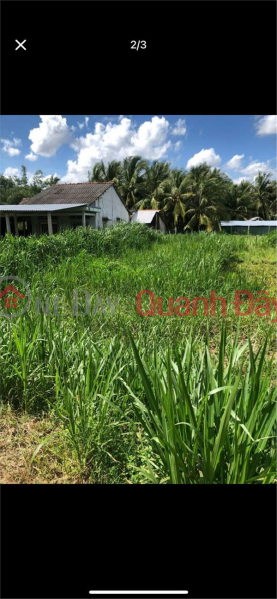 BEAUTIFUL LAND - GOOD PRICE - OWNER NEEDS TO SELL LAND LOT IN Tan Long Hoi Commune - Mang Thit, Vinh Long Province | Vietnam | Sales đ 400 Million