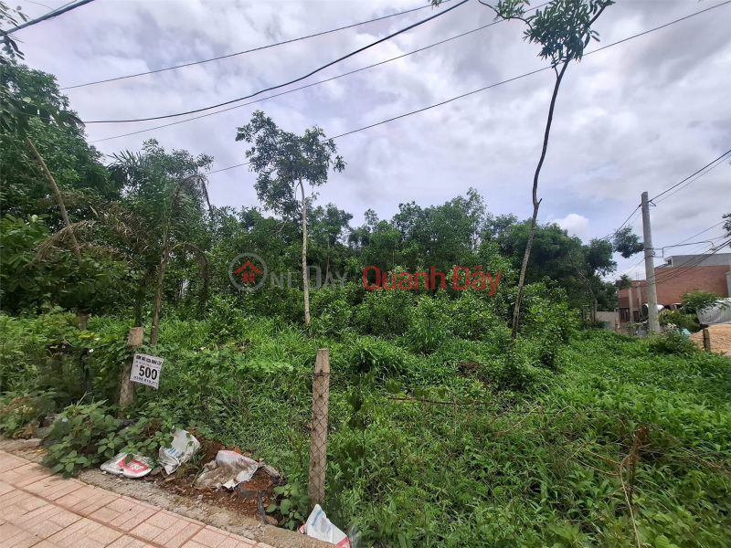 BEAUTIFUL LAND - FRONTAGE - Owner Sells Land Lot At Dieu Xien Street, Bau Tram Commune, Long Khanh, Dong Nai Sales Listings