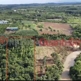 BEAUTIFUL LAND - GOOD PRICE - For Quick Sale Land Lot Prime Location In Dak Gan Commune, Dak Mil, Dak Nong _0
