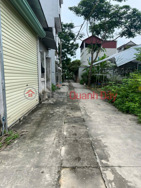 Property Search Vietnam | OneDay | Nhà ở, Niêm yết bán, Cần Bán 58m thôn Ấp Tre, Tổ 10 Quang Minh, Mê Linh, HN. Đường thông, oto ra vào đất