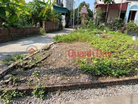 LAND FOR SALE IN DANG XA. GIA LAM. 40M2 * FRONTAGE 5M * 3 BILLION. CAR ALLEY, INVESTMENT PRICE. _0