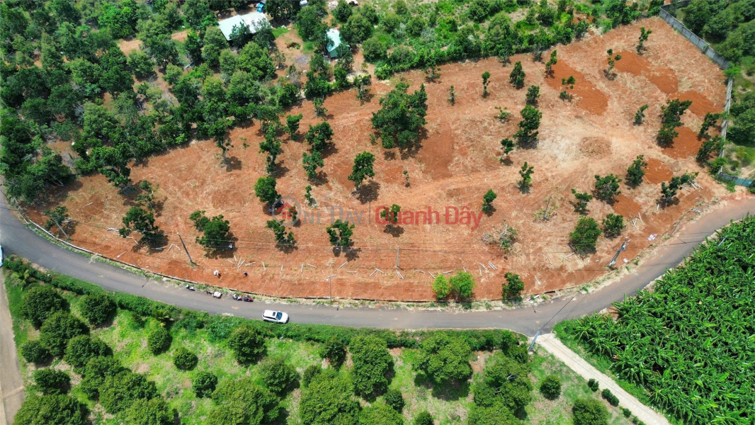 LAND IS UNSOLD - NEED TO QUICKLY SELL LAND LOT IN Lang Lon Commune, Chau Duc District, Ba Ria - Vung Tau Sales Listings