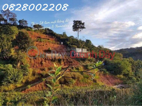 Chính chủ bán nhanh 5518m2 đất tại Xuân Trường, Đà Lạt, giá 4.5 tỷ _0