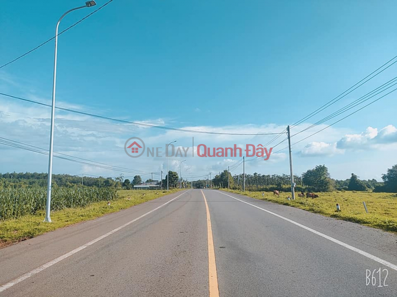 Stuck in money to discharge a single land lot of 225 million, next to the existing residential and industrial park with 18m plastic facade Vietnam, Sales | đ 225 Million