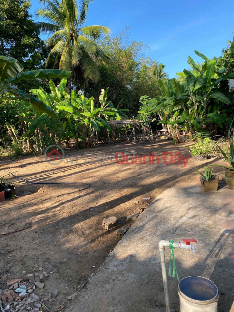 QUICK SALE OF PRIMARY LAND IN BEAUTIFUL LOCATION In Phuoc Hau, Vinh Long _0