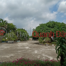 Selling land for warehouse and factory for 50 years in , Phu Xuyen District, Hanoi. Area 3ha _0