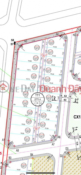 Land for sale at auction in Dong Tre Lo Gio area, Bao Loc village, Vong Xuyen commune, Phuc Tho, Hanoi. Vietnam, Sales | đ 3.04 Billion