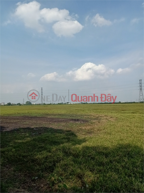 Selling 17ha of warehouse land for factories, Thanh Liem industrial zone, Ha Nam province _0