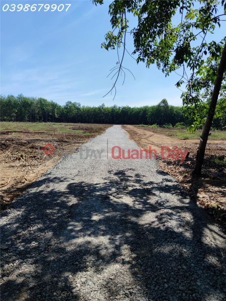 VIEW IT NOW 1500m2 GARDEN LAND - CHEAP PRICE ONLY 472 THOUSANDS \\/ M2, Vietnam, Sales | đ 472 Million