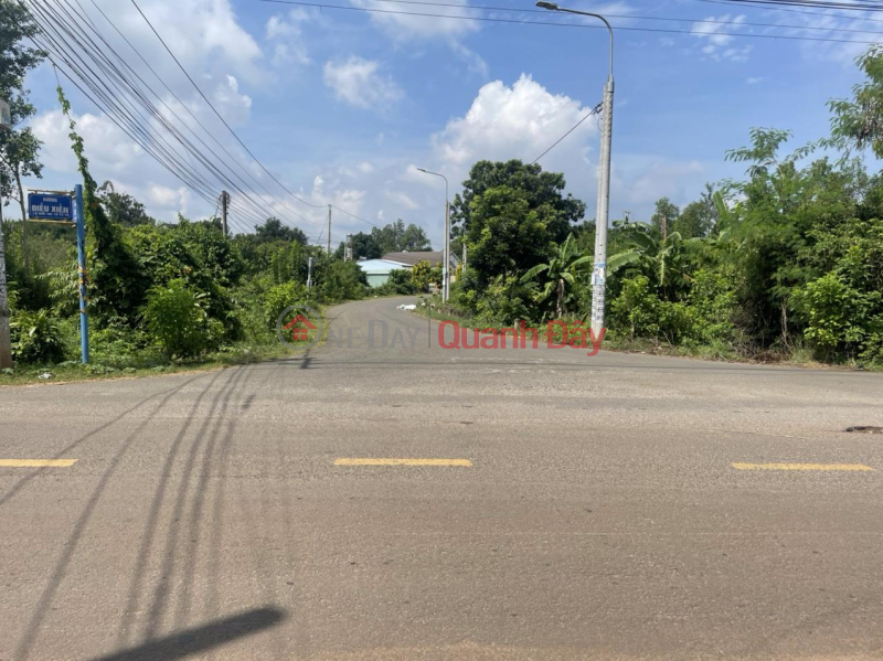 Quick Sale 2 Adjacent Land Lot Super Prime Location In City. Long Khanh, Dong Nai Province. Sales Listings