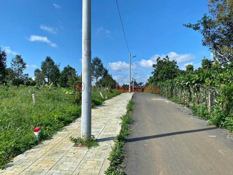 URGENT SELLING 3 Plots 390m2 RESIDENTIAL, IMMEDIATELY IN THI town, close to the National Highway. INVESTMENT PRICE ONLY 195 CHILDREN Sales Listings