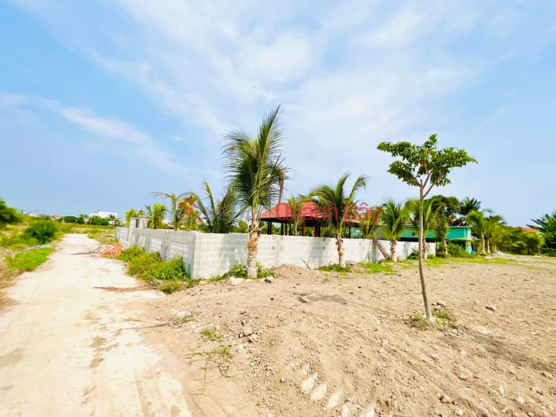 Bán đất tặng nhà vườn Hàm Thắng - Gần Đường nhựa Xoài Quỳ | Việt Nam Bán | đ 1,77 tỷ