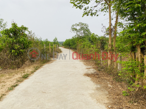 QH full residential land plot 500m2 at Suoi Tien - Dien Khanh, attractive discount! _0