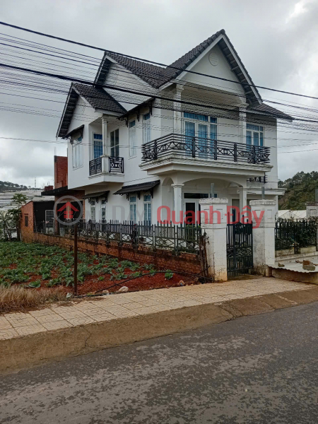 Property Search Vietnam | OneDay | Residential, Sales Listings, VILLA THAI PHIEN FOR SALE, LAM VIEN WARD - DA LAT - 12 billion