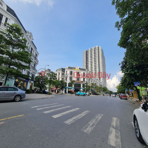 Property Search Vietnam | OneDay | Nhà ở, Niêm yết bán | Khu phố Thành Trung có lô đất 54.6m2 cần bán GẤP. Trâu Quỳ, Gia Lâm. Lh 0989894845