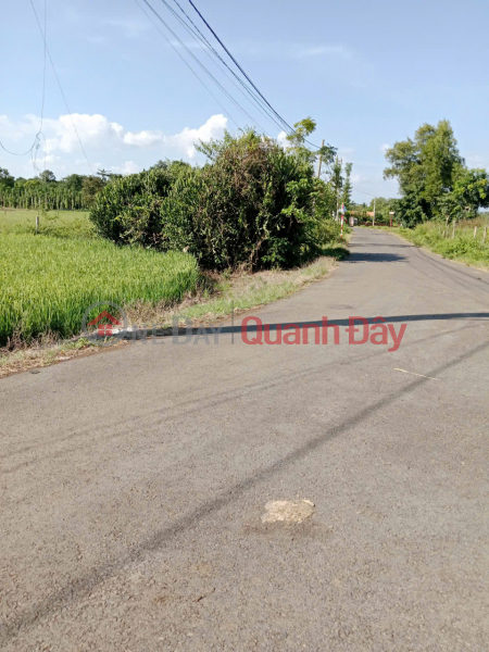 OWNER Needs to Sell Land Quickly in Binh Trung Commune, Chau Duc District, Ba Ria Vung Tau, Vietnam | Sales, đ 1.45 Billion