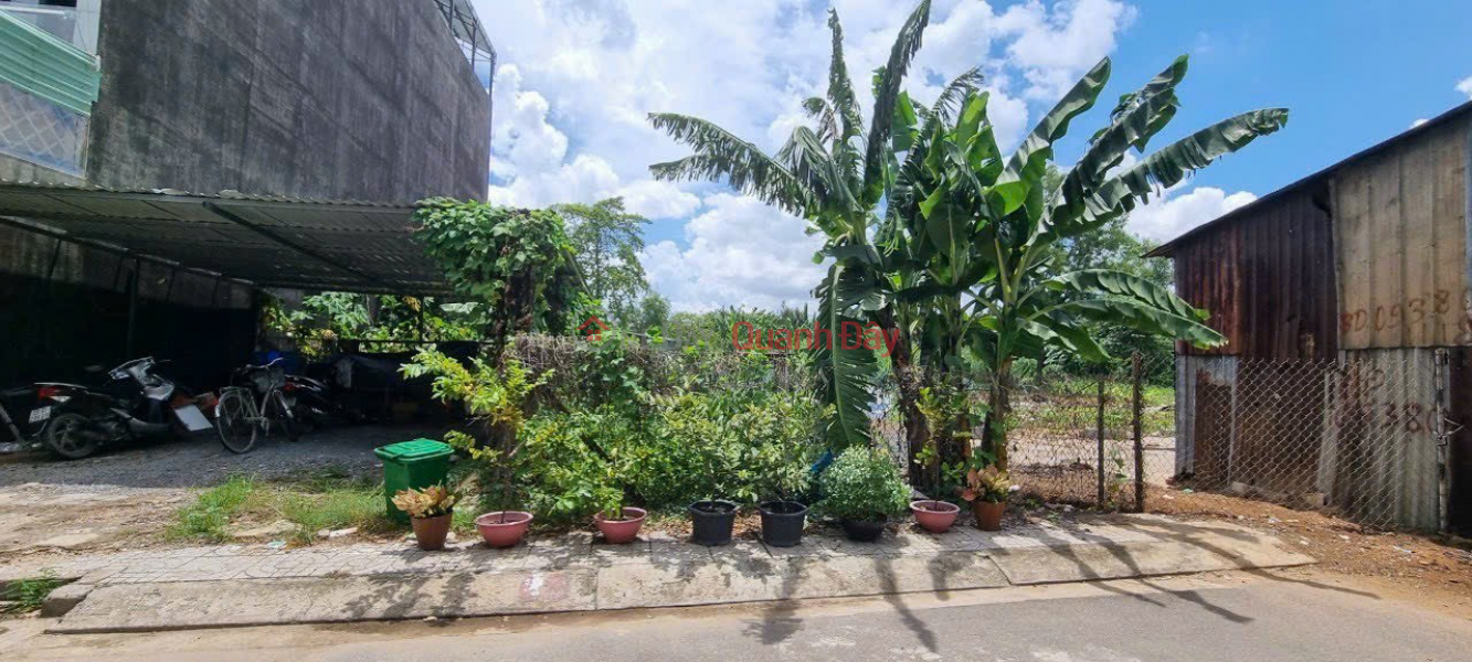 Cheap land - 158m2 wide, 6m wide, 10m rear - 55 million\\/m2 - car alley - Gigamall Hiep Binh Chanh Thu Duc. Sales Listings