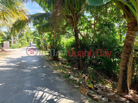 BEAUTIFUL LAND - GOOD PRICE - Quick Sale Land Lot Prime Location In Nhon Thanh Commune, Ben Tre City, Ben Tre _0