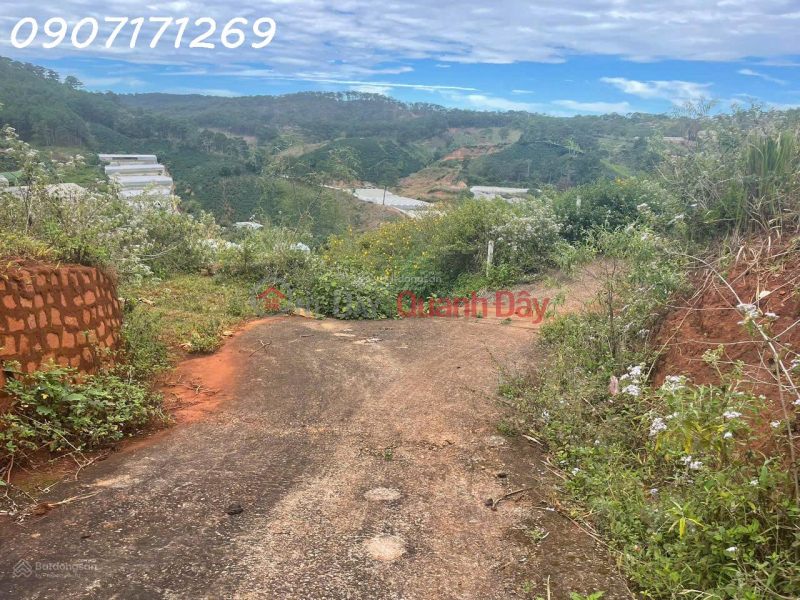 đ 4,5 tỷ | Bán đất manglin tại Phường 7 Tp Đà Lạt (nay là phường Langbiang) diện tích 210m2