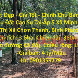 Beautiful Land - Good Price - Owner Sells 3.6 Acres of Rubber Land in Hamlet 5, Minh Lap Commune, Chon Thanh Town, Binh Phuoc _0