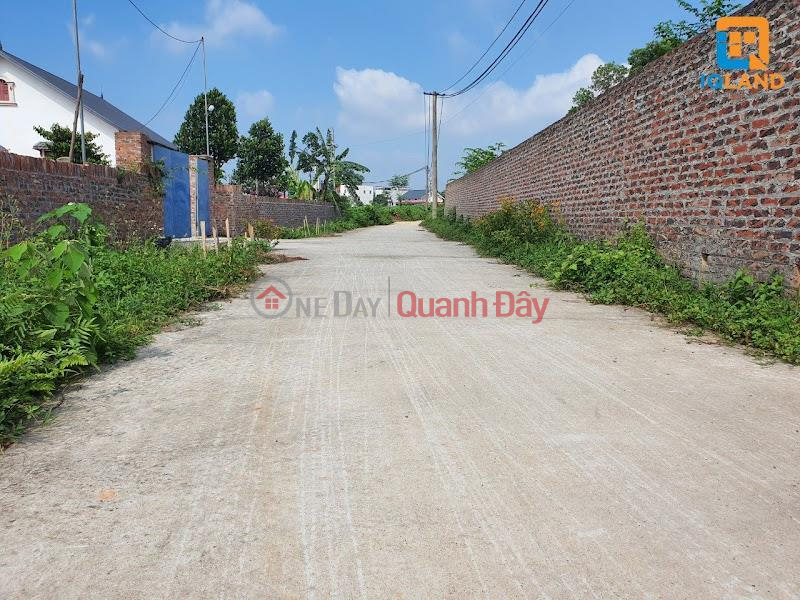 ₫ 400 Million | Just Over 400 Million Own Now Xuan Dong Land Lot Tan Minh Soc Son 6m Street Super Nice Price For Investors