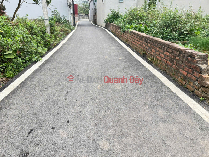 Bán Gấp Đất Thôn Phú Hữu, Thanh Lâm, Mê Linh - 57m2 Vuông Vắn - Giá Rẻ Nhất Khu Vực, Việt Nam | Bán | đ 2,15 tỷ