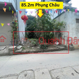 HÀNG SIÊU HIẾM 85,2M TẠI PHỤNG CHÂU-CHƯƠNG MỸ-HÀ NỘI _0