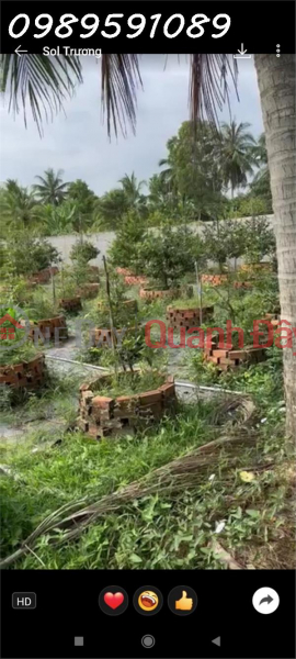 Property Search Vietnam | OneDay | Residential, Sales Listings Owner needs to sell 1000m2 of land at District 35 Road, Vinh Kim Commune, Chau Thanh