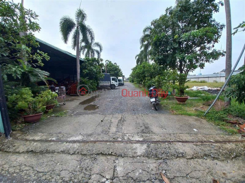 1.1 Ha of SHR Frontage Land, Expanding to the Back - Pham Thi Giay Hoc Mon SS Sales Listings