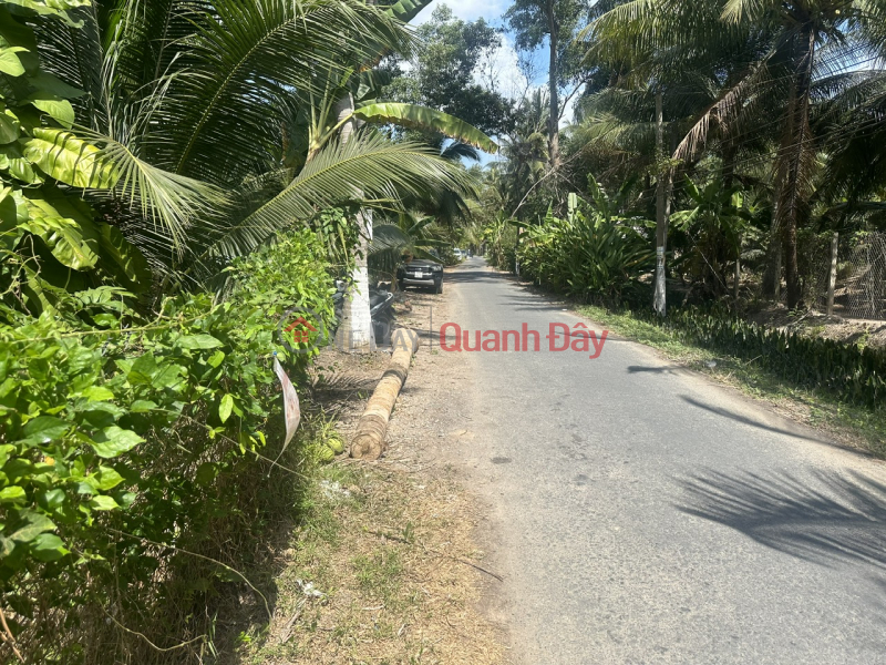 đ 2.04 Billion | BEAUTIFUL LAND - GOOD PRICE - URGENTLY SELLING 1 Acre of Frontage Land in An Hoa Commune, Chau Thanh, Ben Tre