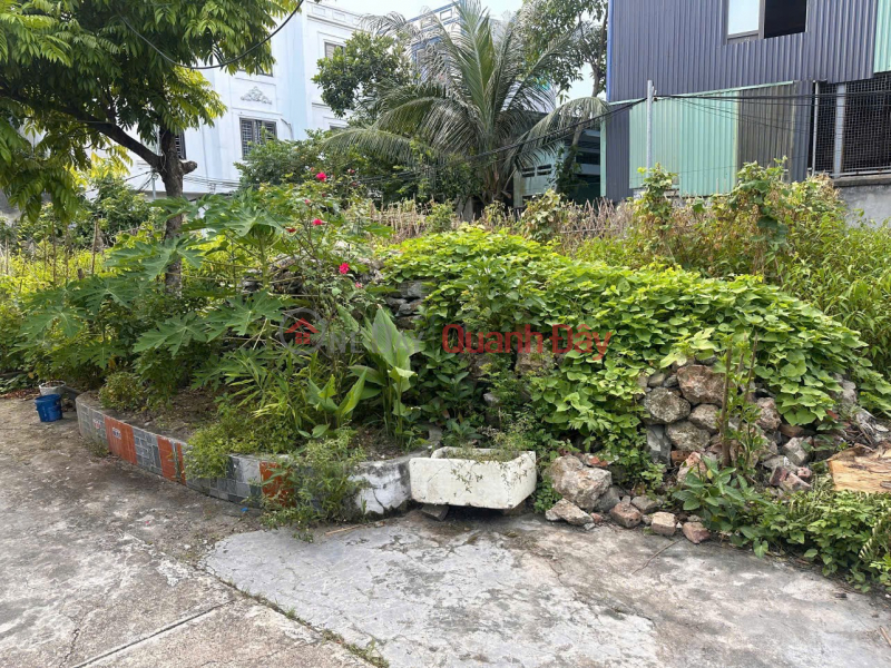 Land owned by the owner - good price. Located on Cat Linh Street, Trang Cat Ward, Hai An District, Hai Phong. | Vietnam | Sales, đ 33 Million