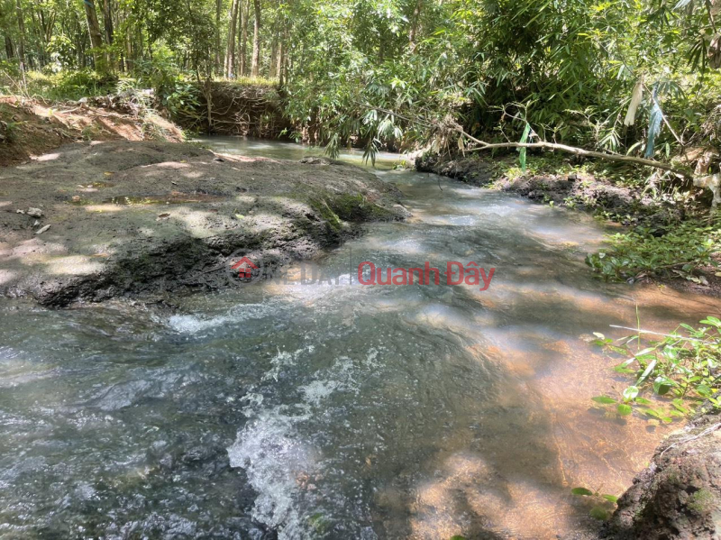 Owner Need to quickly sell garden house land along the Stream, Dong Xoai City, Binh Phuoc 1400 m2, Vietnam Sales, đ 755 Million