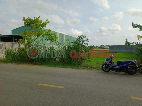 FOR SALE Beautiful Land Lot Super Prime Location In Binh An Commune, Thu Thua District, Long An Province. _0