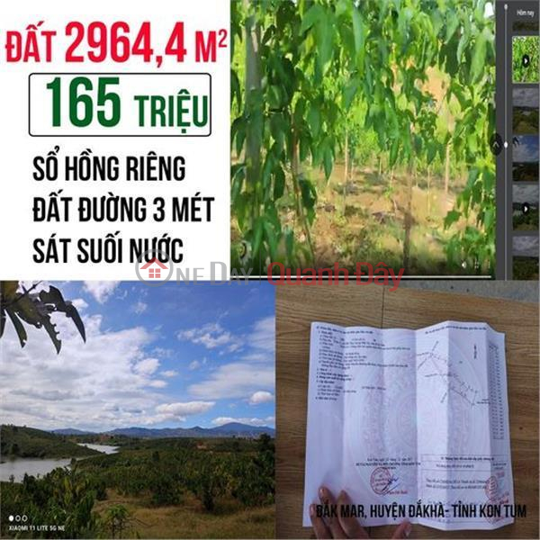 đ 165 triệu | Cắt lỗ sâu lô đất trồng cây lâu năm gần 3000m2 view suối thuộc Đắk Hà, Kon Tum