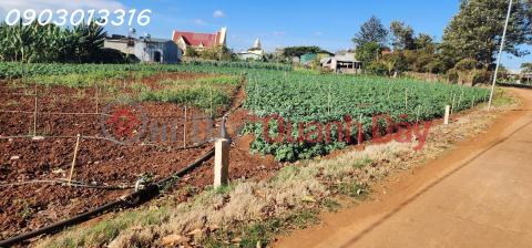 CẮT LỖ BÁN NHANH LÔ ĐẤT siêu đẹp tại TuTra Xã Đơn Dương, Lâm Đồng _0