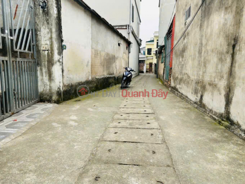 Land for sale in Co Duong, Tien Duong, Dong Anh. Near Highway 23, ARCHIMEDES school, Vietnam, Sales | đ 4.35 Billion