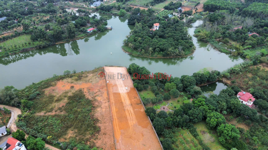 100m2 of fully residential land with an 8-meter frontage in Co Dong, Son Tay, Hanoi, priced at only 29 million VND\\/m2. Sales Listings
