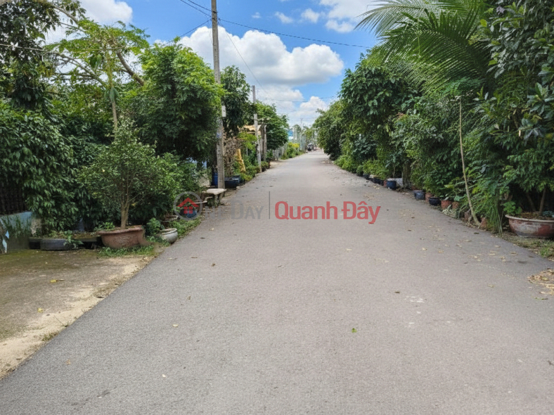 O1948 1040m2 đất Mặt tiền Nhị Bình 17, SHR, 9.x tỷ, Việt Nam | Bán đ 9,99 tỷ