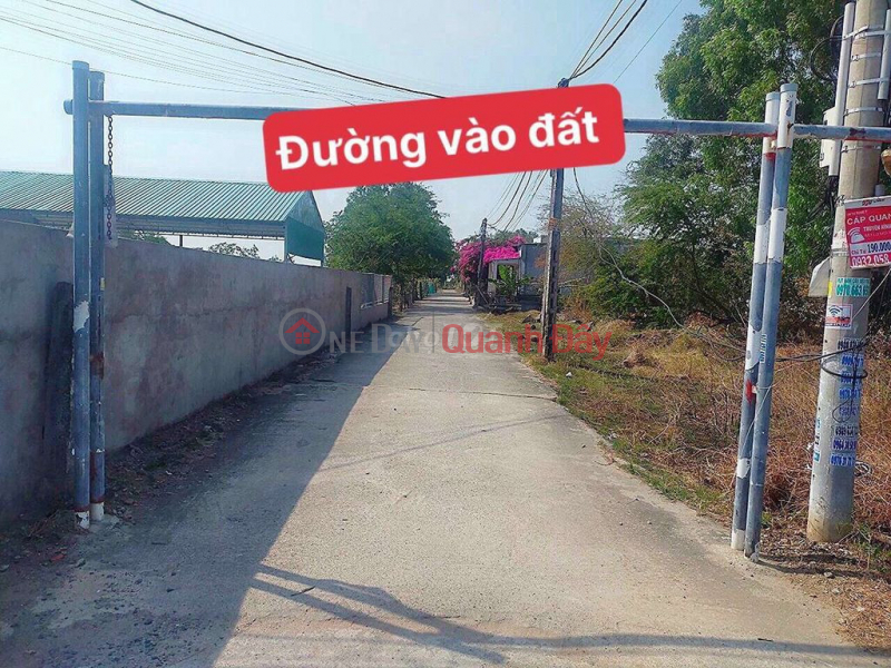 Property Search Vietnam | OneDay | Nhà ở Niêm yết bán Chính Chủ Bán Đất Sổ Hồng Riêng Giá Rẻ Duy Nhất Trung Tâm P12