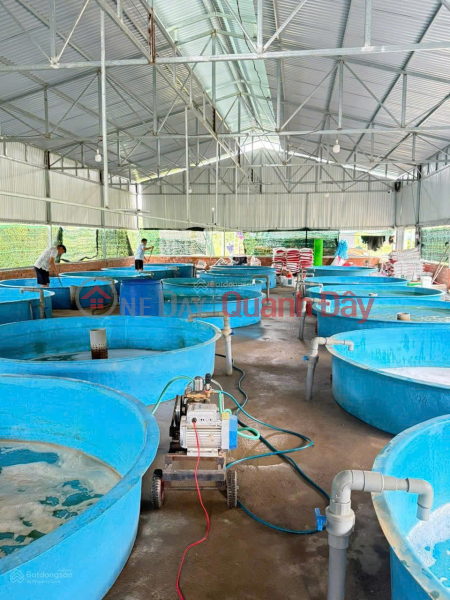 Property Search Vietnam | OneDay | Residential Sales Listings | Owner is transferring ownership of a 1-hectare aquaculture farm with a modern system, located 80km from Da Lat.
