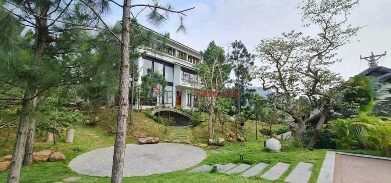 Villa for sale 3500m2 in Dai Lai, Ngoc Thanh, Phuc Yen City, Vietnam Sales, đ 52 Billion