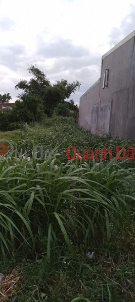 đ 700 triệu | Chính chủ cần bán 140m2 tại Thôn Đại Lễ, Phước Hiệp, Tuy Phước, giá đầu tư