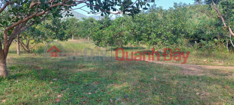 Family needs to sell garden land 12,588m2 frontage concrete road 283m Phuoc Tien, Bac Ai Ninh Thuan. Price 440 million. _0