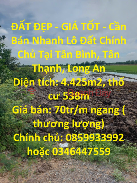 ĐẤT ĐẸP - GIÁ TỐT - Cần Bán Nhanh Lô Đất Chính Chủ Tại Tân Thạnh, Long An _0