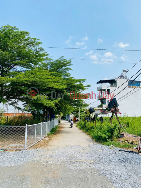 [O2510] 800m2 Garden Land near Senturia, divided into 12 plots, price 37.x billion VND. _0