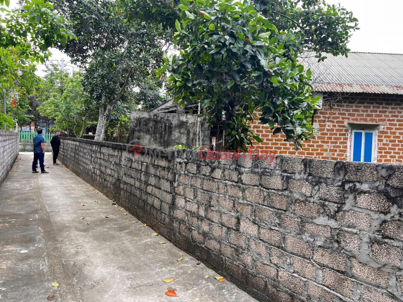 Land for sale at DT 414, Tan Linh Commune, Ba Vi, Hanoi, 10 million \\/ m2, 300m2 corner lot with 2 street frontages, Vietnam, Sales đ 3 Billion