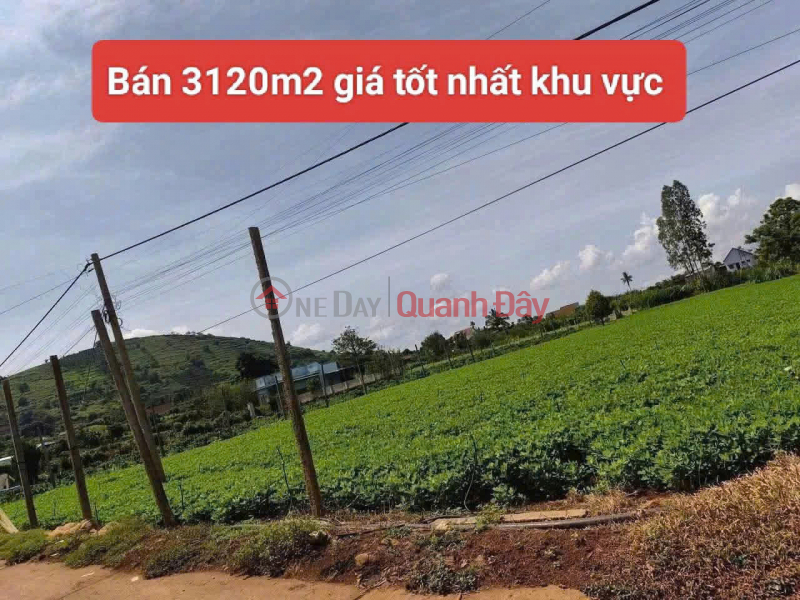 3120m2 of land for sale in Tan Hoi commune, Duc Trong district, Lam Dong province, price 4 billion VND. Sales Listings