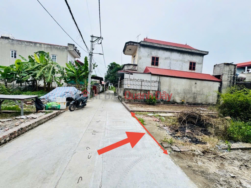 Property Search Vietnam | OneDay | Nhà ở, Niêm yết bán | Bán gấp lô đất tổ 9, Quang Minh. Đất vuông vắn, đường thông bàn cờ. Gần khu công nghiệp