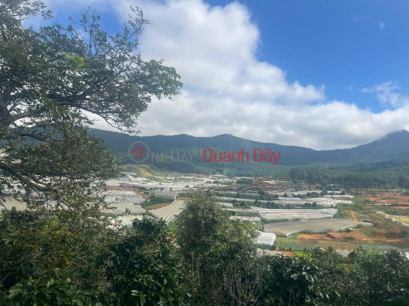 Property Search Vietnam | OneDay | Residential, Sales Listings BEAUTIFUL LAND - GOOD PRICE - QUICK SALE OF LAND IN Lake Area No. 7, Lang Biang Ward - Da Lat - LAM DONG