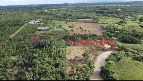 BEAUTIFUL LAND - GOOD PRICE - For Quick Sale Land Lot Prime Location In Dak Gan Commune, Dak Mil, Dak Nong _0